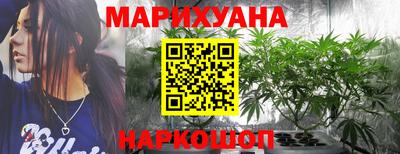 Альфа ПВП Обь