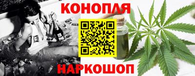 Альфа ПВП Обь