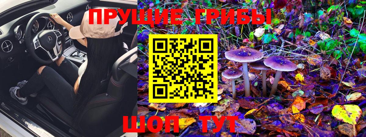 Псилоцибиновые грибы MAGIC MUSHROOMS Сокол