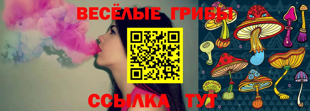 Сокол  купить закладку  Вход с VPN  Псилоцибиновые грибы Magic Shrooms 